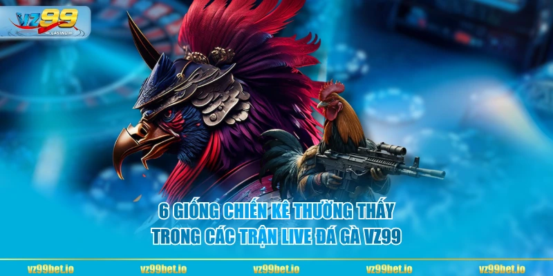 6 giống chiến kê thường thấy trong các trận live đá gà VZ99