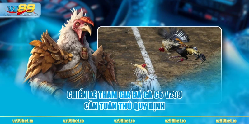 Những quy định về thể trạng chiến kê trong đá gà C5 VZ99 Chiến kê tham gia đá gà C5 VZ99 cần tuân thủ quy định