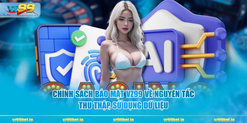 Chính sách bảo mật VZ99 về nguyên tắc thu thập, sử dụng dữ liệu