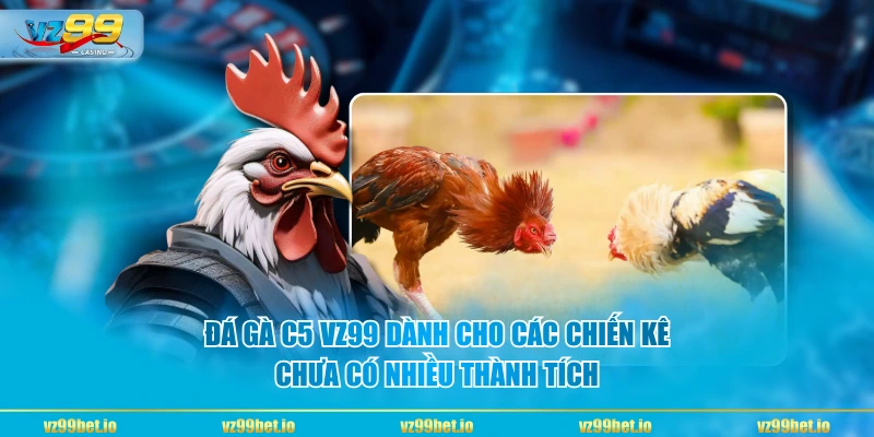 Đá gà C5 VZ99 dành cho các chiến kê chưa có nhiều thành tích