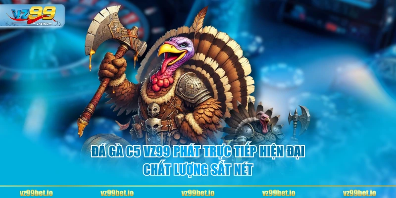 Đá gà C5 VZ99 phát trực tiếp hiện đại, chất lượng sắt nét